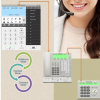 Panasonic IP Softphone - Image 2
